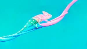 كيف أتغير للافضل