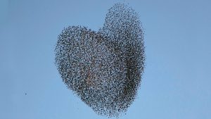 قيادة التغيير التنظيمي