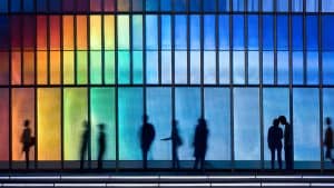 التنوع بين الجنسين وزيادة الإنتاجية