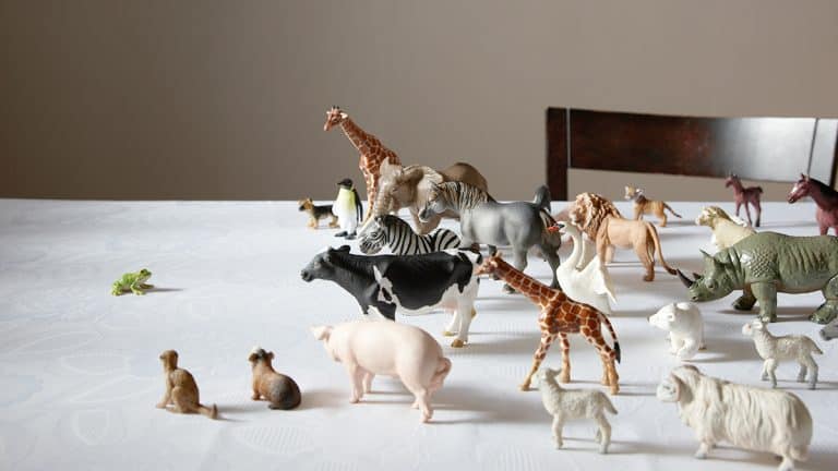 أهمية التواضع في العمل