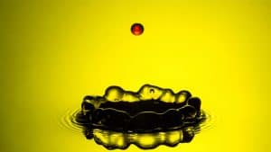 التيقظ الذهني