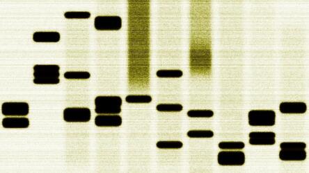 صفات المبتكر