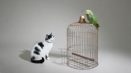 الاستفادة من الحوار مع الآخرين