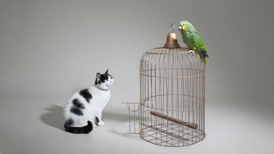 الاستفادة من الحوار مع الآخرين