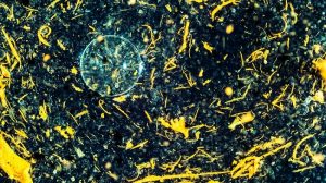 التعامل مع مخاطر الذكاء الاصطناعي