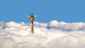 كيف تكون قائداً ملهماً