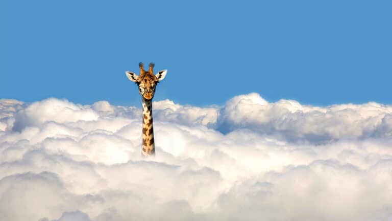 كيف تكون قائداً ملهماً