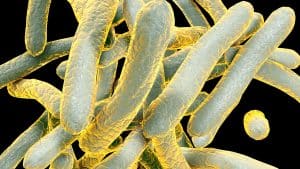 دور التقنية في تحسين الرعاية الصحية في أفريقيا