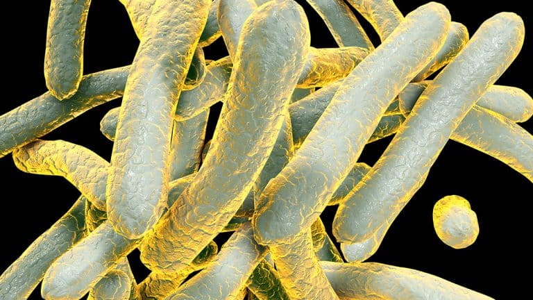 دور التقنية في تحسين الرعاية الصحية في أفريقيا