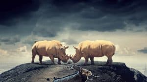 متطلبات التغيير الناجح