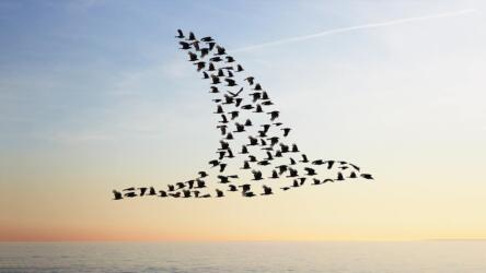 توسيع نطاق الثقافة في الشركة