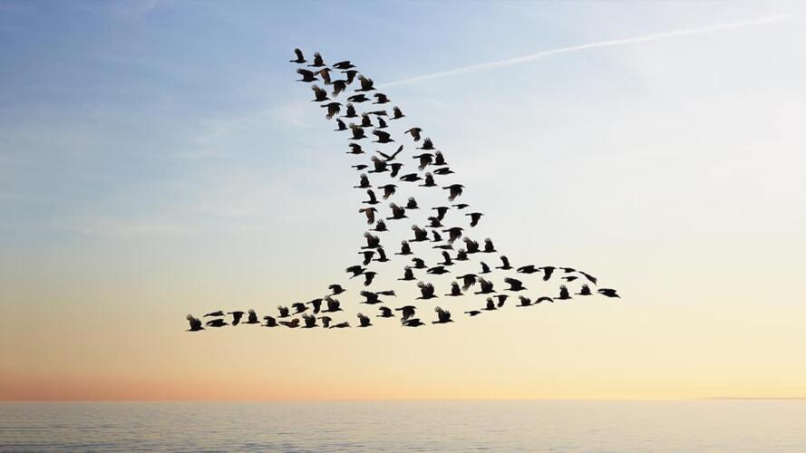 توسيع نطاق الثقافة في الشركة