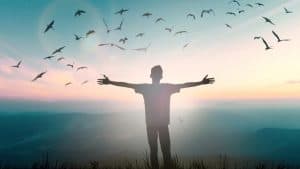 محمد جودت و "جوجل"