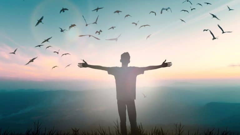 محمد جودت و "جوجل"