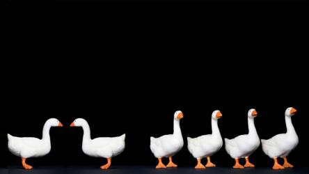 العلاقات بين الموظفين في العمل