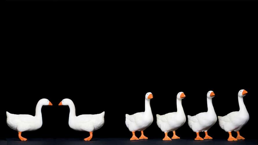 العلاقات بين الموظفين في العمل