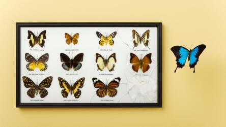 كيف أبدأ العمل الحر