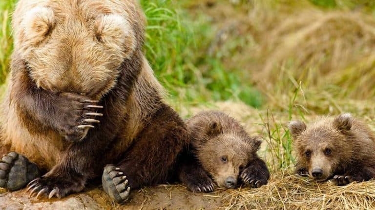 كيف تتعامل مع والديك المشوشين