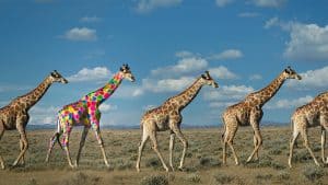 تشجيع التفكير الريادي