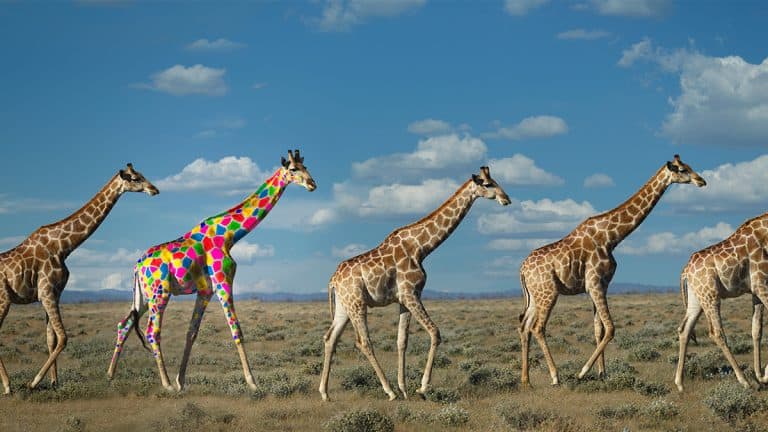 تشجيع التفكير الريادي