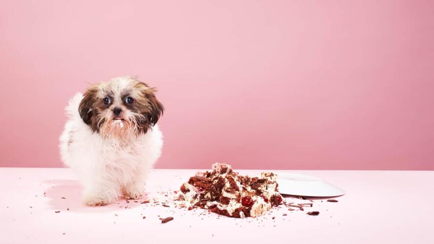 القادة الصارمون