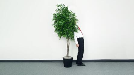 الرهاب الاجتماعي عند الموظف