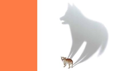 ماذا تفعل إذا انكشف الكذب