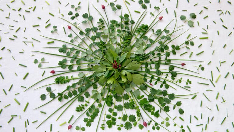 كيفية ربط مكافآت المسؤولين التنفيذيين بالاستدامة