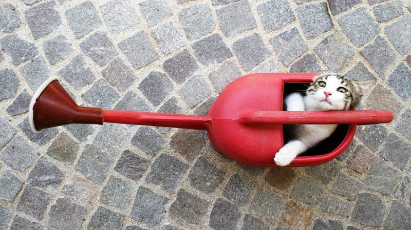 التعامل مع المدير المهووس