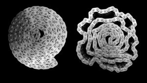 أهمية مركزية القرارات