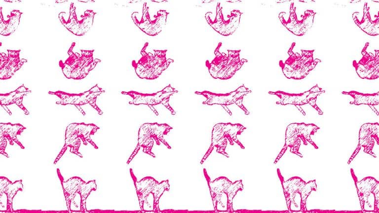 المدير الاستراتيجي