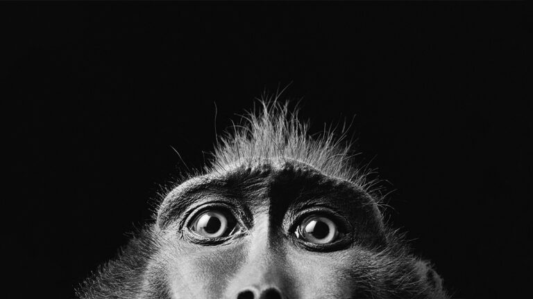 عنصر المفاجأة كأحد استراتيجيات وتكتيكات التفاوض