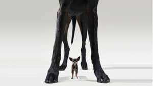 المنافسة بين العلامات التجارية