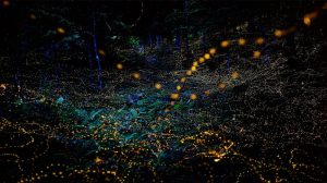 حقيقة المسار المهني للنساء