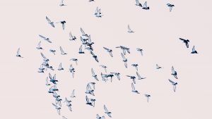 أهمية حرية العمل