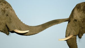 علاقات المدراء الوثيقة بالموظفين