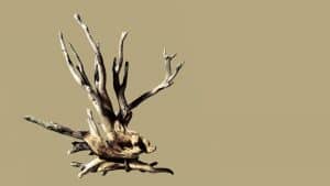 إعادة تحفيز الموظف