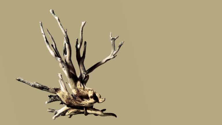 إعادة تحفيز الموظف