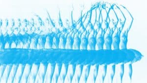 تحسين أداء عملي