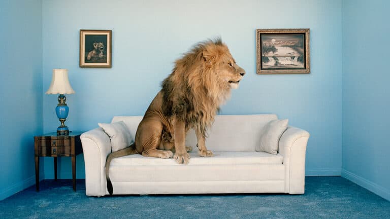 تطوير المهارات القيادية