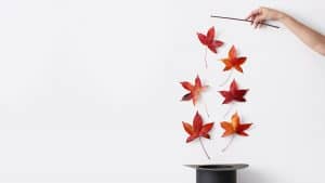 تغيير دور المدير