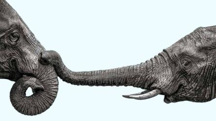 كيفية تقييم موظف جديد