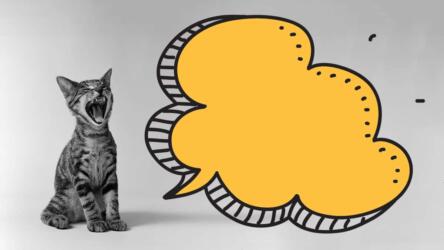 استراتيجية تقنيات الصوت