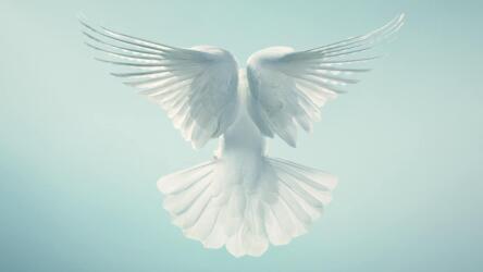 كيفية المساهمة في شفاء المرضى