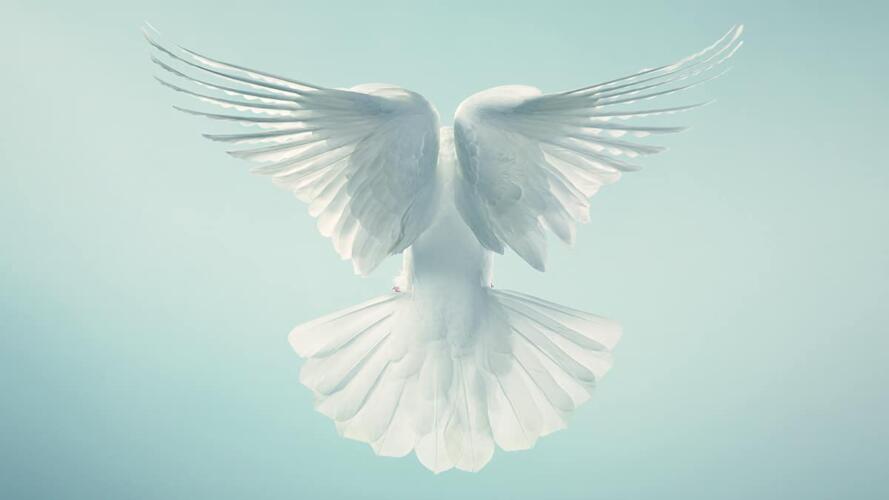 كيفية المساهمة في شفاء المرضى