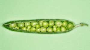 خيارات الأسهم للموظفين