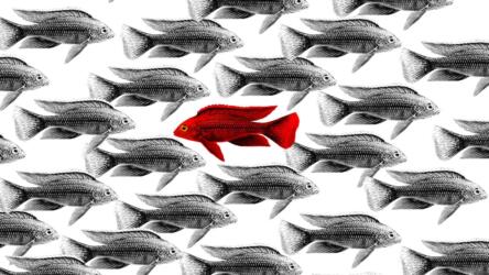 قائمة مراجعة الإجراءات الجراحية