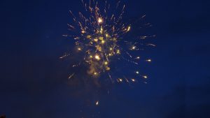 سياسة احتضان الفشل