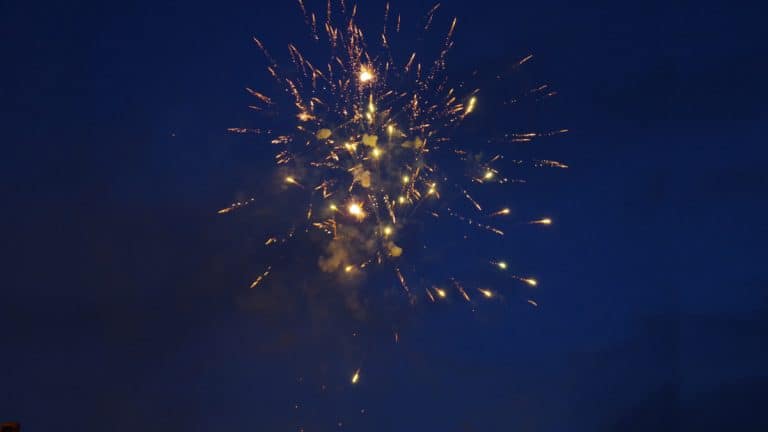 سياسة احتضان الفشل