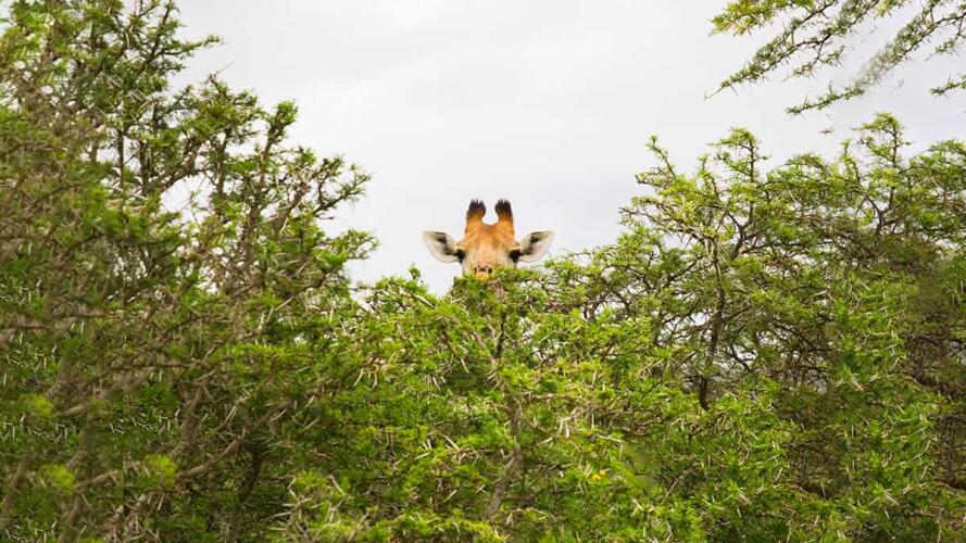 الحفاظ على السرية